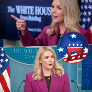 Karoline Leavitt Drops Bombshell: “Democrats Learned NOTHING on November 5th!”