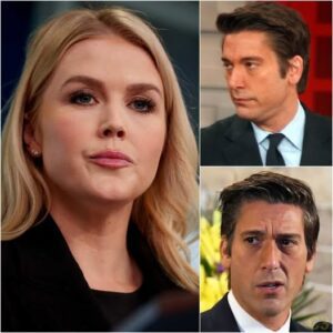 Karoline Leavitt FREEZES the Room After David Muir Crosses a Line — “You Don’t Get to Hide Behind Journalism When You Say That” - sangho