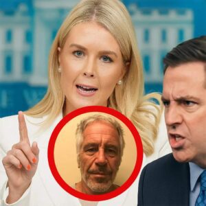 Fox News Reporter Grills Trump Spokeswoman Over Shocking Epstein Twist — Karoline Leavitt Left Scrambling!