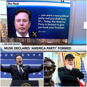 Why would someone as smart as Elon Musk start a political party that experts say is doomed to fail because its goal is not to win an election