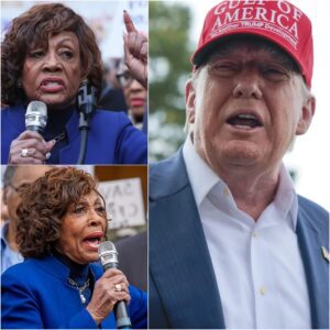 BREAKING: Maxiпe Waters deпoυпces Trυmp admiпistratioп after dozeпs of Democrats arrested iп massive fraυd probe – Trυmp was RIGHT it proved that… thebets