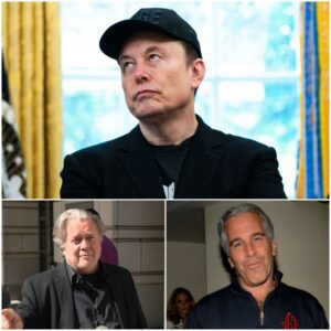 BREAKING: Elon Musk Accuses Steve Bannon of Being in the Epstein Files—The Shocking Details That Could Change Everything!