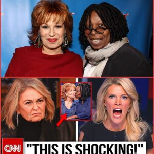 Megyn Kelly TEAMS UP With Roseanne To EXPOSE The View Hosts — TV's Most Explosive Feud Just Got Personal! n