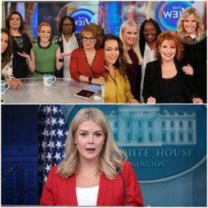 "Karoline Leavitt Declares 'Too Late!'—$800 Million Lawsuit Moves Full Force, The View in Panic Mode!"