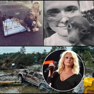 Country star Miranda Lambert is facing unexpected heat online after posting a heartfelt plea to help displaced animals affected by the devastating Texas floods