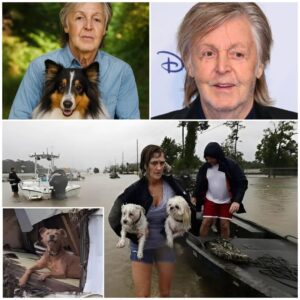 Paul McCartney: A Quiet Beacon of Hope Amid Texas’ Historic Flood nh