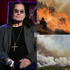 BREAKING: Ozzy Osbourne Donates $6.8 Million to Support Families Affected by Grand Canyon Wildfire nh