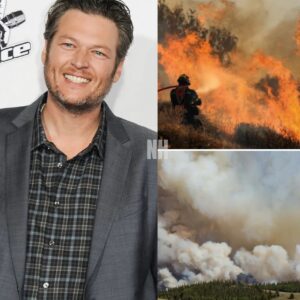 BREAKING: Blake Shelton Donates $6.8 Million to Support Families Affected by Grand Canyon Wildfire nh
