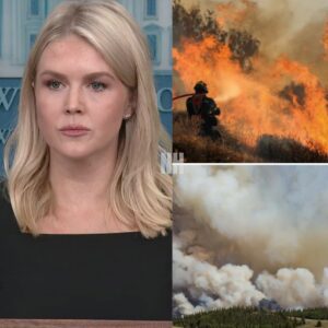 BREAKING: Karoline Leavitt Donates $6.8 Million to Support Families Affected by Grand Canyon Wildfire nh