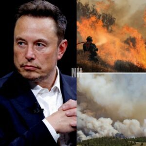 BREAKING: Elon Musk Donates $6.8 Million to Support Families Affected by Grand Canyon Wildfire nh