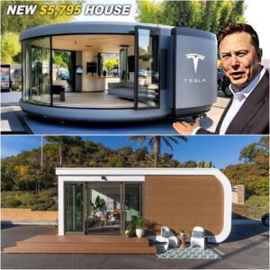 Elon Musk's $6,759 Tesla Tiny House Finally Arrives on the Market: What's Inside?
