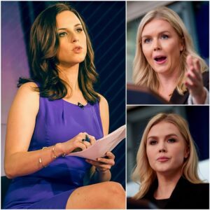 “Is It Woke to Want a Fair Shot, Karoline?” — Alicia Menendez Quietly Dismantles the Press Secretary Over DEI Cuts in a Televised Exchange That Left Viewers Stunned - nh