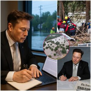 One Click, One Flame of Hope: Elon Musk and the Texas Flood Relief Campaign