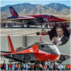 Elon Musk Reveals NEW $13 BILLION Tesla Aircraft: A Skyward Revolution in Clean Energy Flight