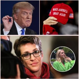 THIS JUST HAPPENED: The White House is in turmoil after Rachel Maddow delivered a new testimony—a blunt and scathing critique that cast Trump and his allies as relentless turncoats who have upended American life!!!