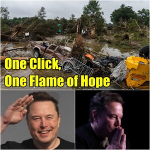 One Click, One Flame of Hope: Elon Musk's Digital Uprising for Texas Flood Relief