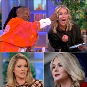 "YOUR BRAIN FILES ‘NUANCE’ UNDER ‘SKIP.’" Sara Haines Mocks Karoline Leavitt on National TV — Until a Brutal Family Revelation Flips the Entire Segment - nh