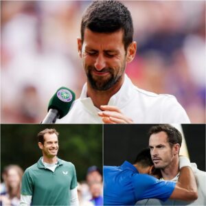 Andy Murray surprised his close friend Novak Djokovic with a heartfelt gift that left many stunned, congratulating him for his incredible performance at Wimbledon...