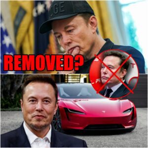 Elon Musk Removed From Tesla Board of Directors? The Truth Behind the Silent Coup