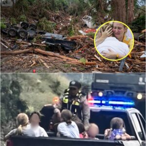 A miracle that stunned the world: Three girls who had gone missing from a Texas summer camp were unexpectedly found alive and alert inside a hollow tree