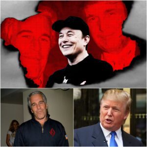 Elon Musk Blows Major Hole in Trump’s Epstein ‘Hoax’ Theory