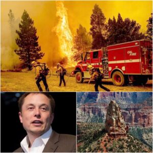 Breaking News: Wildfire Erupts at North Rim of Grand Canyon National Park — Thousands Forced to Evacuate