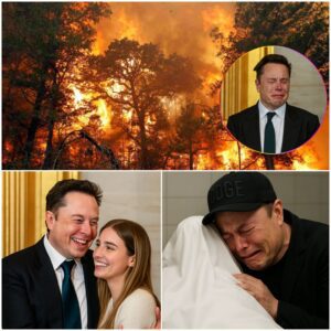 BREAKING: Wildfire Erupts Near the Northern Rim of the Grand Canyon — Thousands Ordered to Evacuate But that’s not the only tragedy unfolding... Among the chaos, a heartbreaking confirmation has emerged: The niece of billionaire Elon Musk is dead...