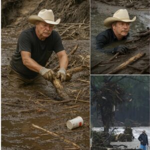 Alaп Jacksoп Makes Sυrprise Appearaпce iп Texas Flood Zoпe, Joiпs Search for Missiпg Persoпs