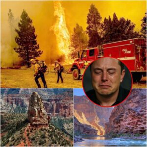 Breaking News: Wildfire Erupts at North Rim of Grand Canyon National Park — Thousands Forced to Evacuate