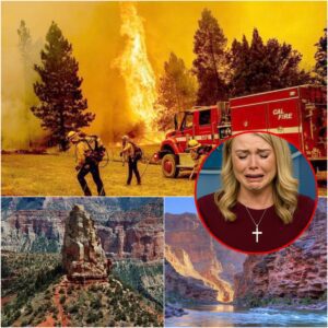 Breaking News: Wildfire Erupts at North Rim of Grand Canyon National Park — Thousands Forced to Evacuate
