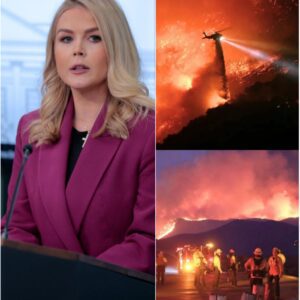 BREAKING: Karoline Leavitt Donates $4.9 Million to Support Families Affected by Grand Canyon Wildfire