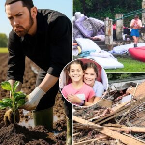 “Eminem Returned Alone to Camp Mystic — What Happened When He Planted the First Tree Stopped Everyone in Their Tracks”!He didn’t bring cameras. He didn’t speak...