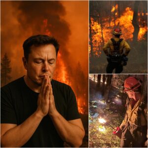 BREAKING: Elon Musk Donates $4.9 Million to Support Families Affected by Grand Canyon Wildfire