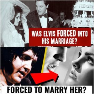 “I Doп’t Have a Choice”: The Five Words That Shattered the Elvis & Priscilla Fairytale-LU