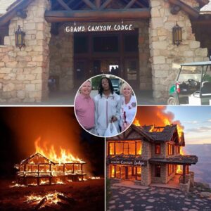 SHOCKING SCENE: While Jahmyr Gibbs and His Family Slept Peacefully at Grand Canyon Lodge, a Sudden Forest Fire Erupted Nearby — The Entire Resort Thrown Into Chaos as Heartbreaking News About His Family Shakes the Entire NFL World -