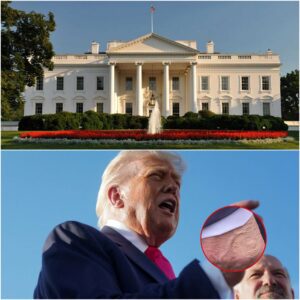 Cameras Capture Marking on President Trump's Right Hand During Press Avail With Reporters