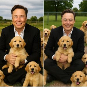 Elon Musk has taken the internet by storm with a surprising announcement: He will invest $20 million to build a “paradise” for stray dogs, where thousands of abandoned puppies will be loved and have a real home.