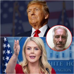 Trump Won’t Recommend a Special Prosecutor in Epstein Case, Leavitt Says