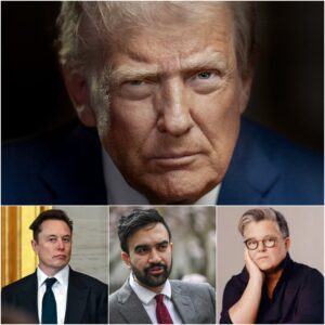 Could Trump strip citizenship from Elon Musk, Zohran Mamdani or Rosie O’Donnell?