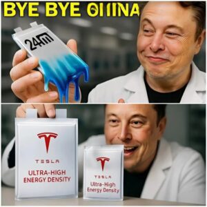 RIGHT NOW: Fans Around the World Are Praying for Elon Musk’s Mother, Maye Musk, After a Heartbreaking Announcement That No One Wanted to Hear Right Now…na