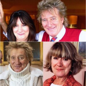 When Rod Stewart finally met his daughter Sarah Streeter, whom he gave up for adoption in 1963, the reunion was far from warm. “I felt like a fan, not someone with blood ties,” Sarah recalled