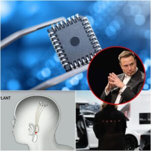 The Chip Is Already Inside You? Ex-Tesla Engineer Drops Shocking Truth About Elon’s Secret Trials
