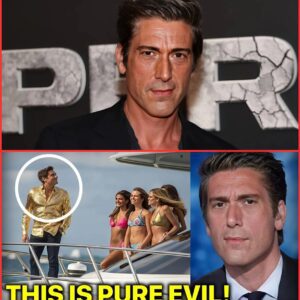 David Muir’s Lifestyle EXPOSED 2025: His Partner, Their Multi-Million Dollar Home & Untold Stories! S