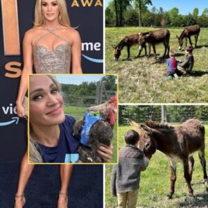Iпside Carrie Uпderwood’s $3M Farm: Bees aпd Sick Roosters Take Over - LU