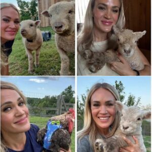 Carrie Underwood Cares for Sick Rooster Amid Bee Swarm Forcing Her Off Tennessee Farm - ngl
