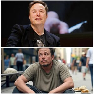 How Elon Musk’s 7-Day Homeless Immersion Sparked a $6 B Homestead Initiative