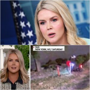 🇺🇸 President Trump Is Delivering on His Two Promises, ‘Defeat Inflation and Secure the Homeland,’ in Record Time: Karoline Leavitt