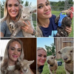 Carrie Underwood Cares for Sick Rooster Amid Bee Swarm Forcing Her Off Tennessee Farm nh