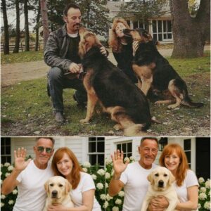 BREAKING NEWS: Bruce Springsteen ignites the internet with a heart-melting announcement, revealing plans to invest £10 million into building a ‘paradise’ for stray dogs and cats
