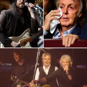 On Paul McCartney’s 80th Birthday, Sean Ono Lennon Performs “Here, There and Everywhere” in an Emotional Tribute That Stuns the World nh
